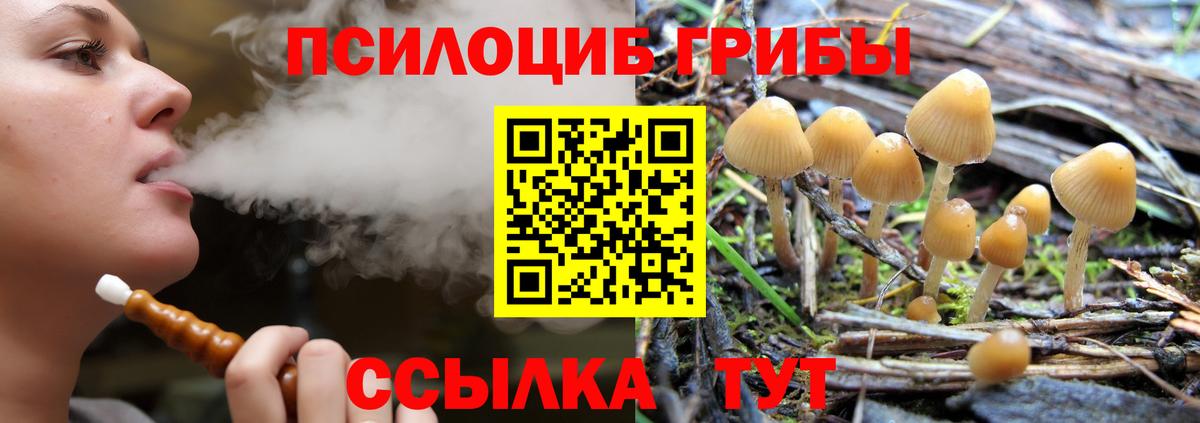 Галлюциногенные грибы Psilocybe  Псилоцибиновые грибы MAGIC MUSHROOMS  Вход с VPN  Прокопьевск 